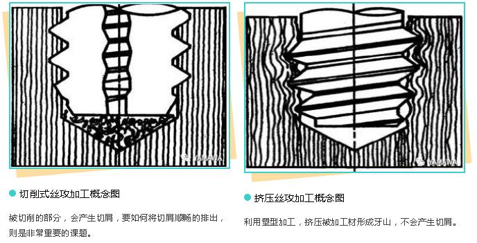 無(wú)削絲攻攻牙的特性與過(guò)程